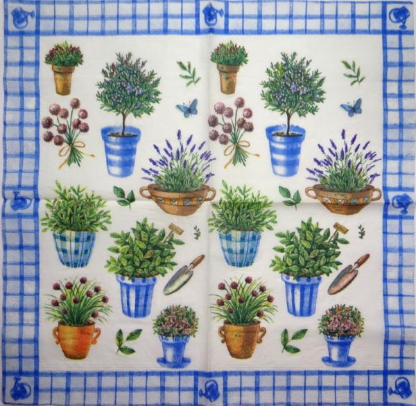 037 Kräuter - 3-ply (blue)